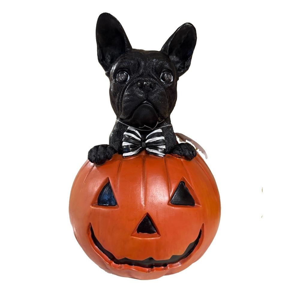 1-Nwt Halloween Frenchie Bulldog Dog Light Up Pumpkin Statue  Decor
